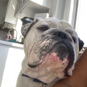 Meet your Posher, Erica